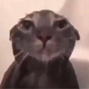 Meet your Posher, June